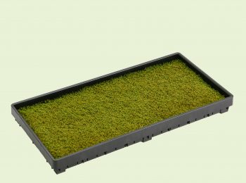 サンモトレー屋上緑化用の砂苔