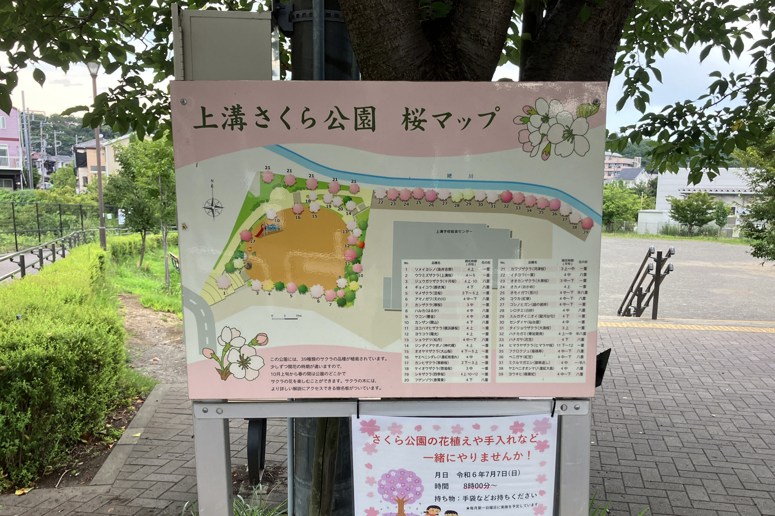 上溝さくら公園 | 株式会社 三光社 | プラスチック再利用・都市の緑化