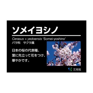 商品紹介ページに「緑の名札」を追加しました。