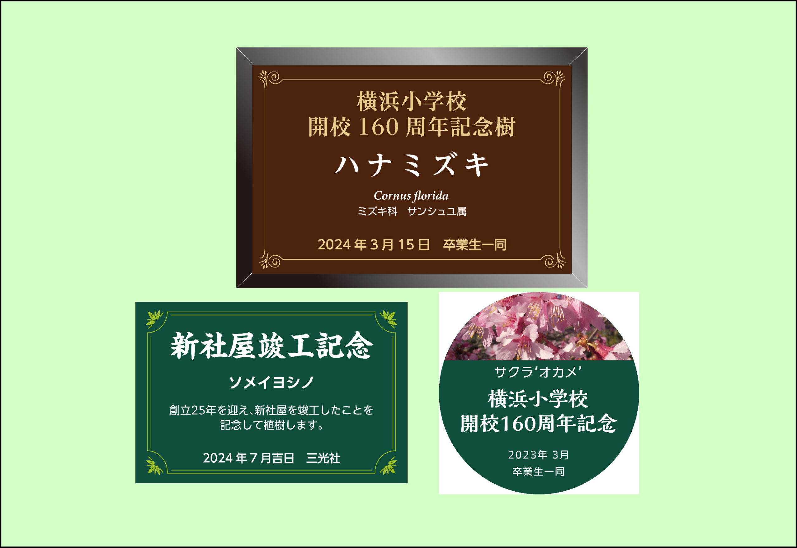 4f9816692393e502cac7fe3313f930