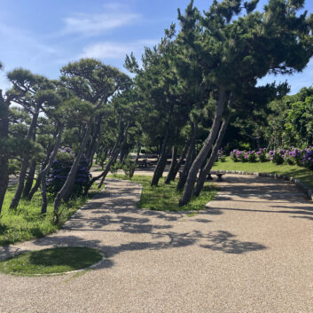 〈8月分〉施工事例アップしました。