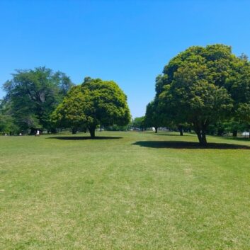 人にやさしい、まちにやさしい。公園緑化のメリットと進め方について解説します
