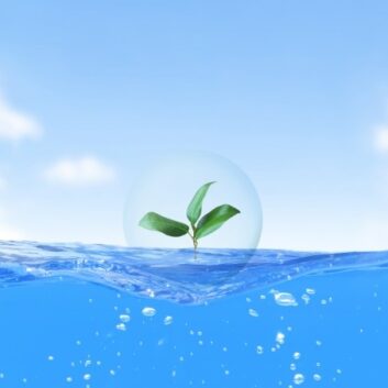 緑の力で地球を守る！環境問題の種類と緑化の可能性