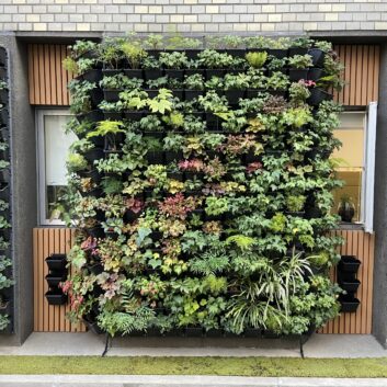 古いビルを、選ばれる空間へ。既存建物の緑化リノベーション完全ガイド