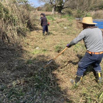 秋の緑地メンテナンス完全ガイド｜剪定・植え替え・芝生管理・緑化資材点検まで解説